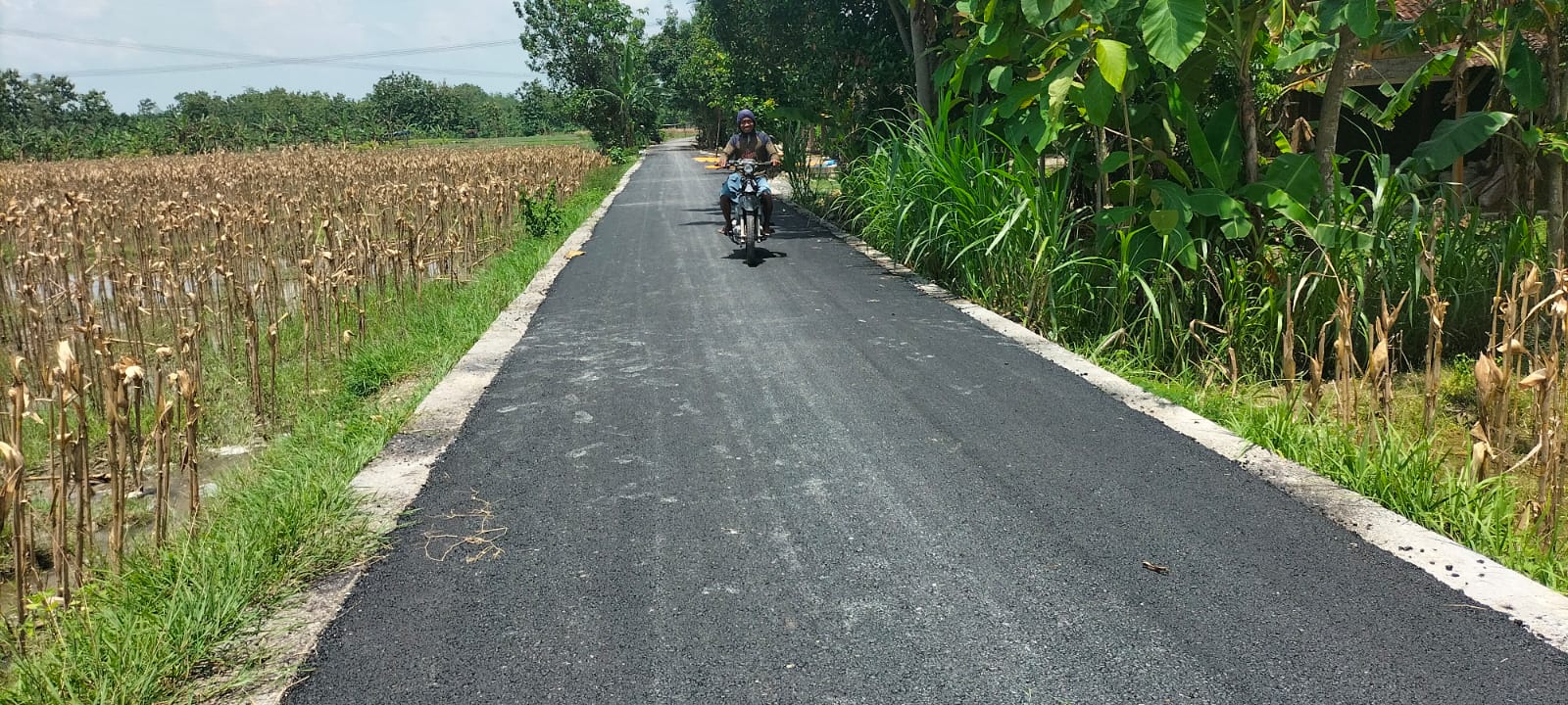 Pembangunan jalan baru di desa Muroseva dengan alat berat dan pekerja